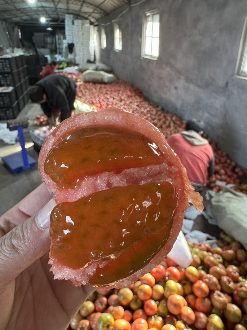 普罗旺斯西红柿