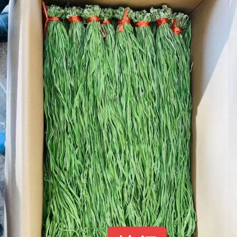 贡菜，产地直发，精品贡菜大量供应