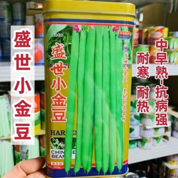 盛世小金豆种子四季豆种籽绿荚架豆角种子抗病高产春秋季蔬菜