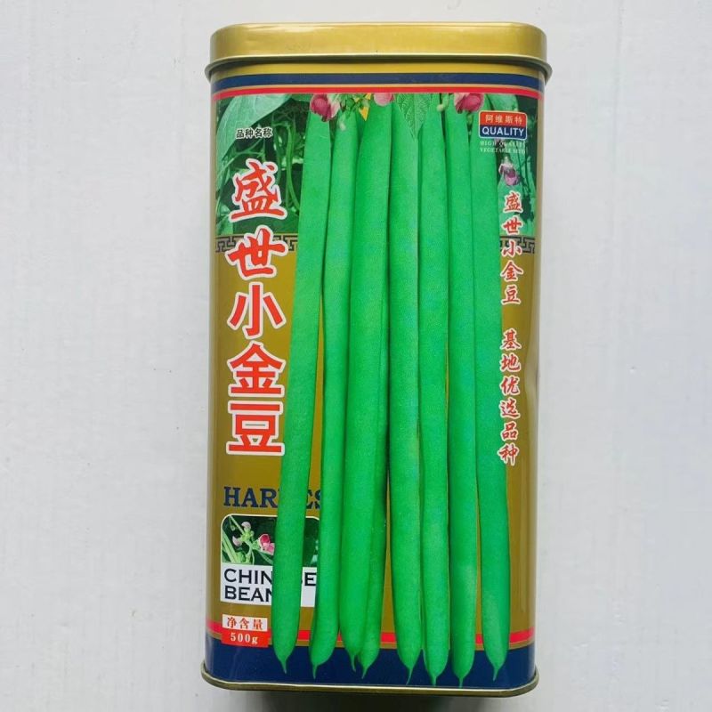盛世小金豆种子四季豆种籽绿荚架豆角种子抗病高产春秋季蔬菜