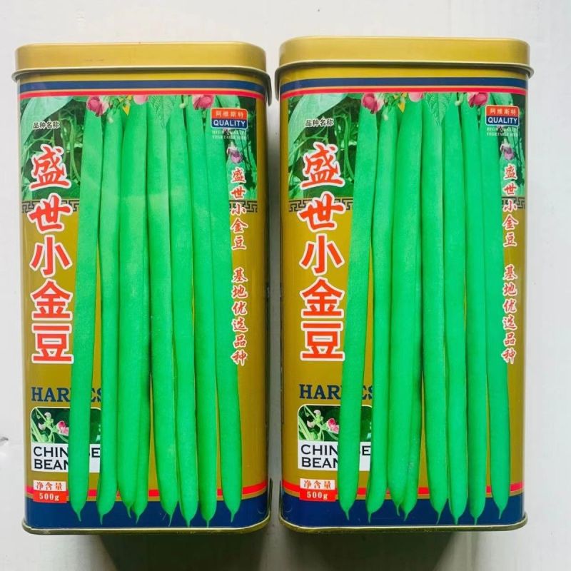 盛世小金豆种子四季豆种籽绿荚架豆角种子抗病高产春秋季蔬菜