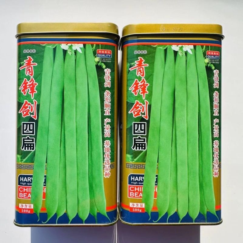 青锋剑四扁芸豆种子扁条无筋豆种子绿荚四季豆架豆种子荚扁平