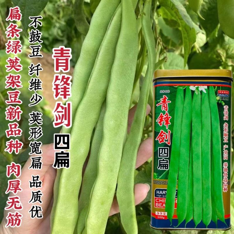 青锋剑四扁架豆种子扁条绿荚四季豆种子无筋豆籽绿扁豆种子不