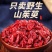 野生山茱萸山萸肉无硫河南伏牛山地理标志产品农家自产