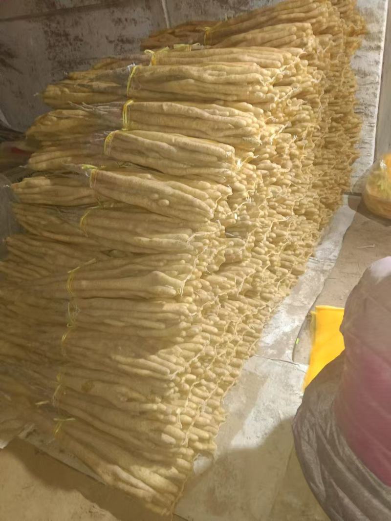 编号F01精品优质小白嘴白山药{巴掌货}