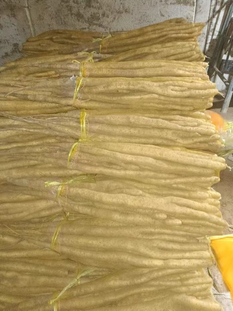 编号豪003小白嘴白山药基地供应！{佛手货}陌武签