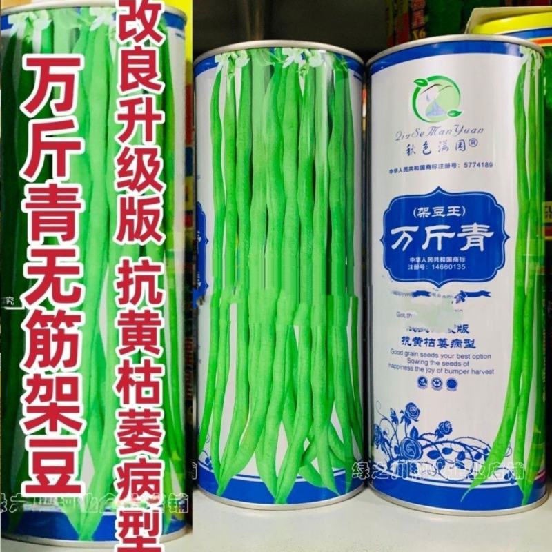 万斤青架豆王种子无筋架豆种籽无纤维抗病强改良升级版四季豆