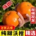 广西精品沃杆供应商超批发市场电商一件代发