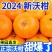 广西精品沃杆供应商超批发市场电商一件代发