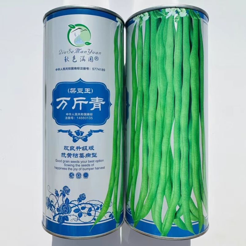 万斤青架豆王种子无筋架豆种籽无纤维抗病强改良升级版四季豆