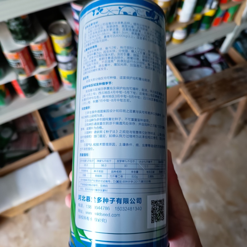 万斤青架豆王种子无筋架豆种籽无纤维抗病强改良升级版四季豆