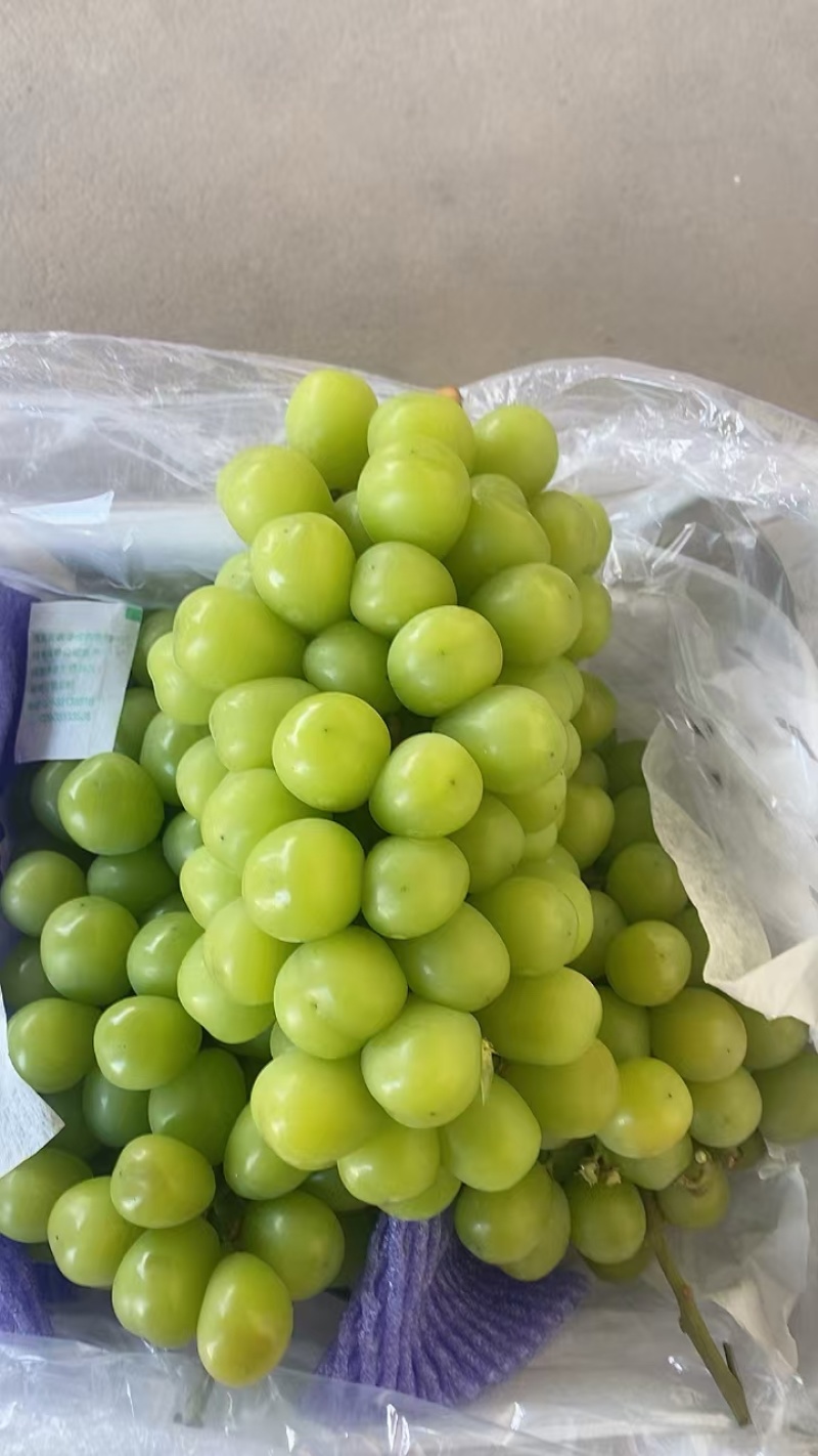 阳光玫瑰串行好颗粒匀口感甜