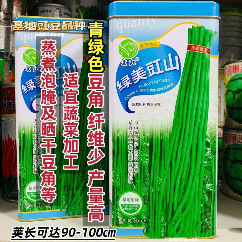 绿美豇山青绿色长豆角种子超长绿条豇豆种子升级901豆角种
