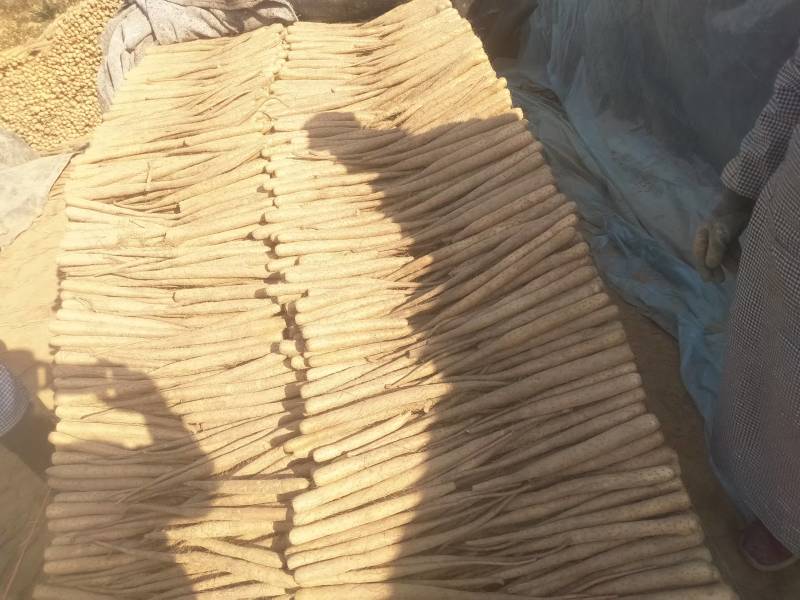 河北精品双棒二路三路能水洗一件代发对接各大平台