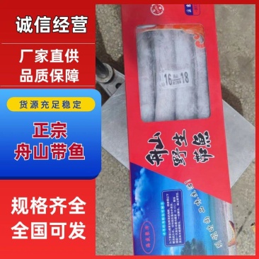 东海带鱼正宗舟山规格全代加工包装欢迎咨询