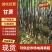 博白三滩镇黑皮甘蔗产地直供