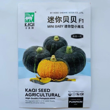 迷你小绿贝贝南瓜种子香甜板栗味板栗蔬菜种子大全四季春秋种