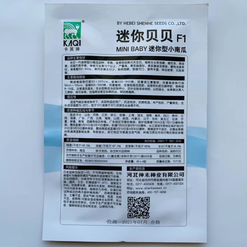 迷你小绿贝贝南瓜种子香甜板栗味板栗蔬菜种子大全四季春秋种