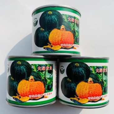 大绿贝贝南瓜种子早熟抗病味道香甜面风味极佳适应性广