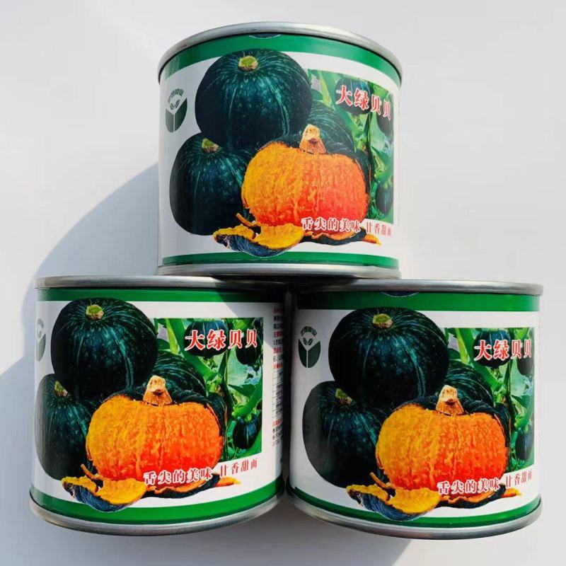 大绿贝贝南瓜种子早熟抗病味道香甜面风味极佳适应性广