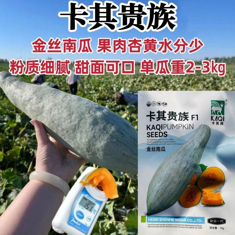 卡其贵族南瓜种子金丝南瓜种籽新疆丑瓜种子春秋粉糯甜面栗瓜