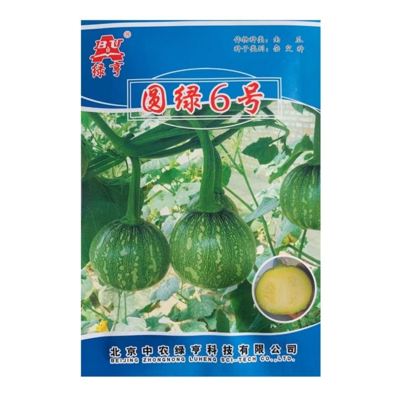 绿亨圆绿6号嫩南瓜种子早熟一串铃南瓜种籽高产菜用小南瓜种