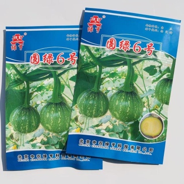 绿亨圆绿6号嫩南瓜种子早熟一串铃南瓜种籽高产菜用小南瓜种