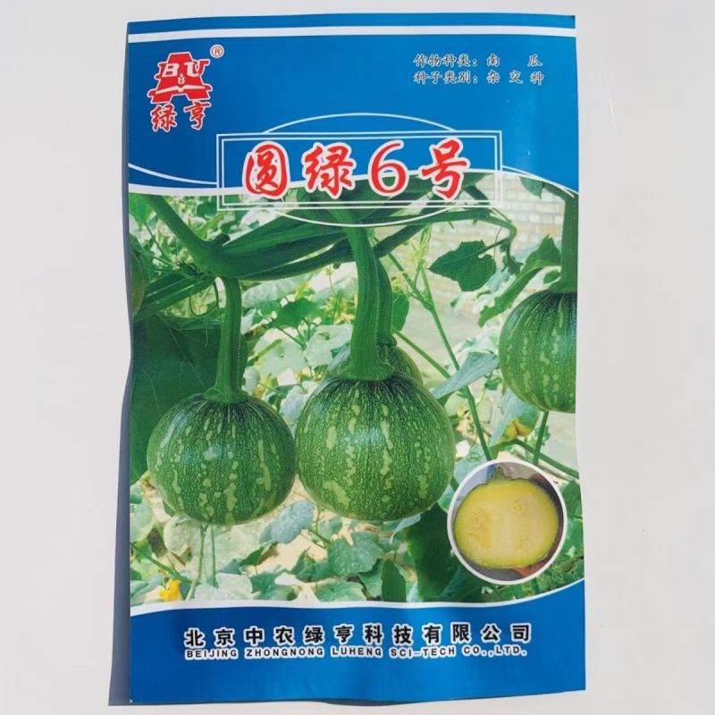 绿亨圆绿6号嫩南瓜种子早熟一串铃南瓜种籽高产菜用小南瓜种