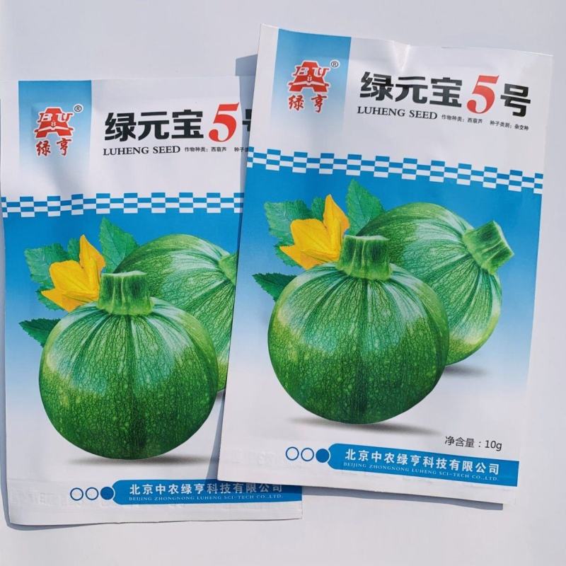 绿亨绿元宝5号西葫芦种子无蔓西葫芦圆形青瓜种子特早熟南美