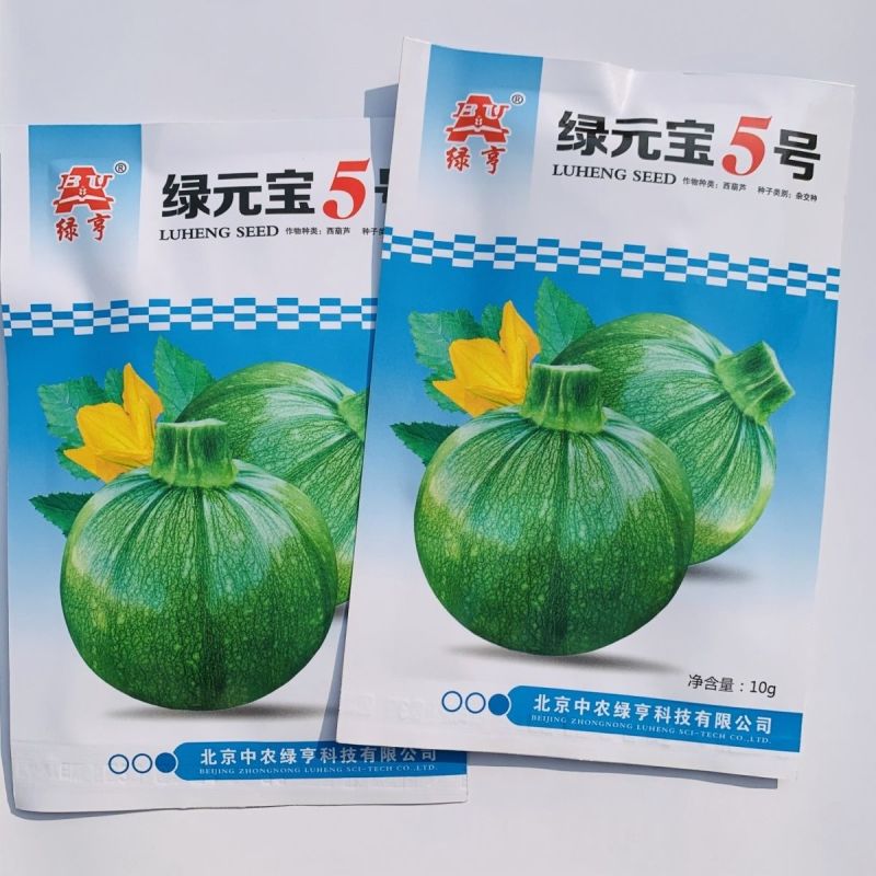 绿亨绿元宝5号西葫芦种子无蔓西葫芦圆形青瓜种子特早熟南美