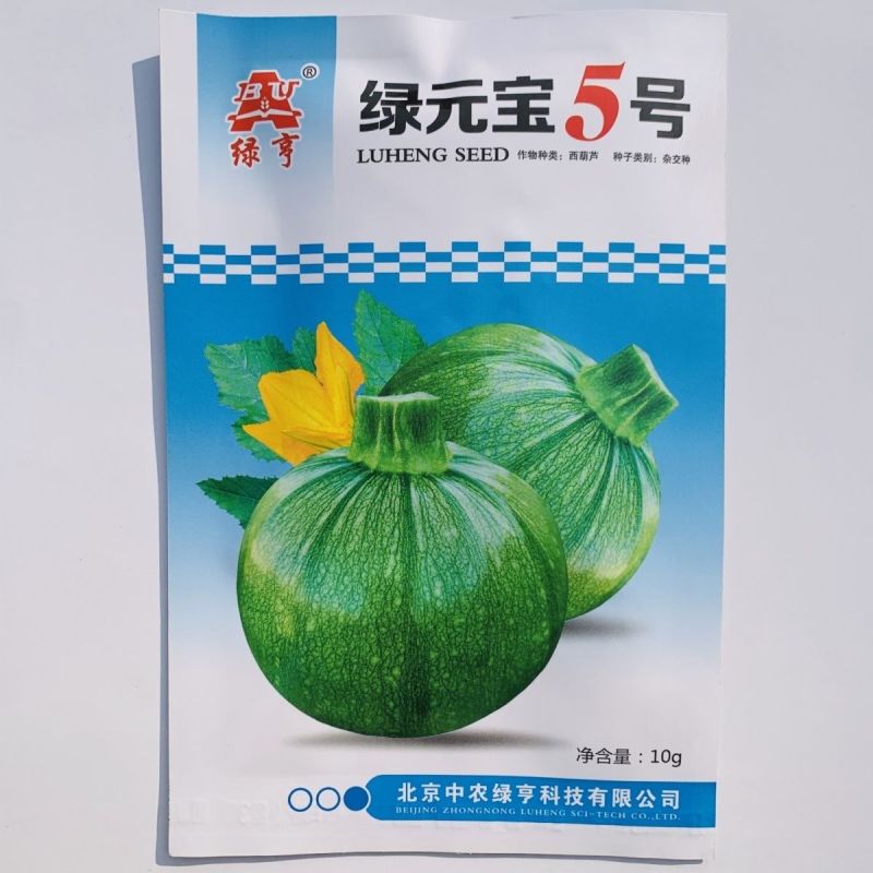绿亨绿元宝5号西葫芦种子无蔓西葫芦圆形青瓜种子特早熟南美