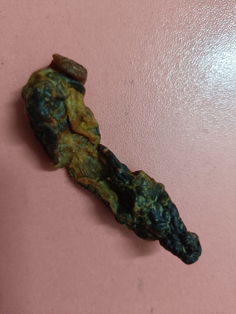 鹅宝