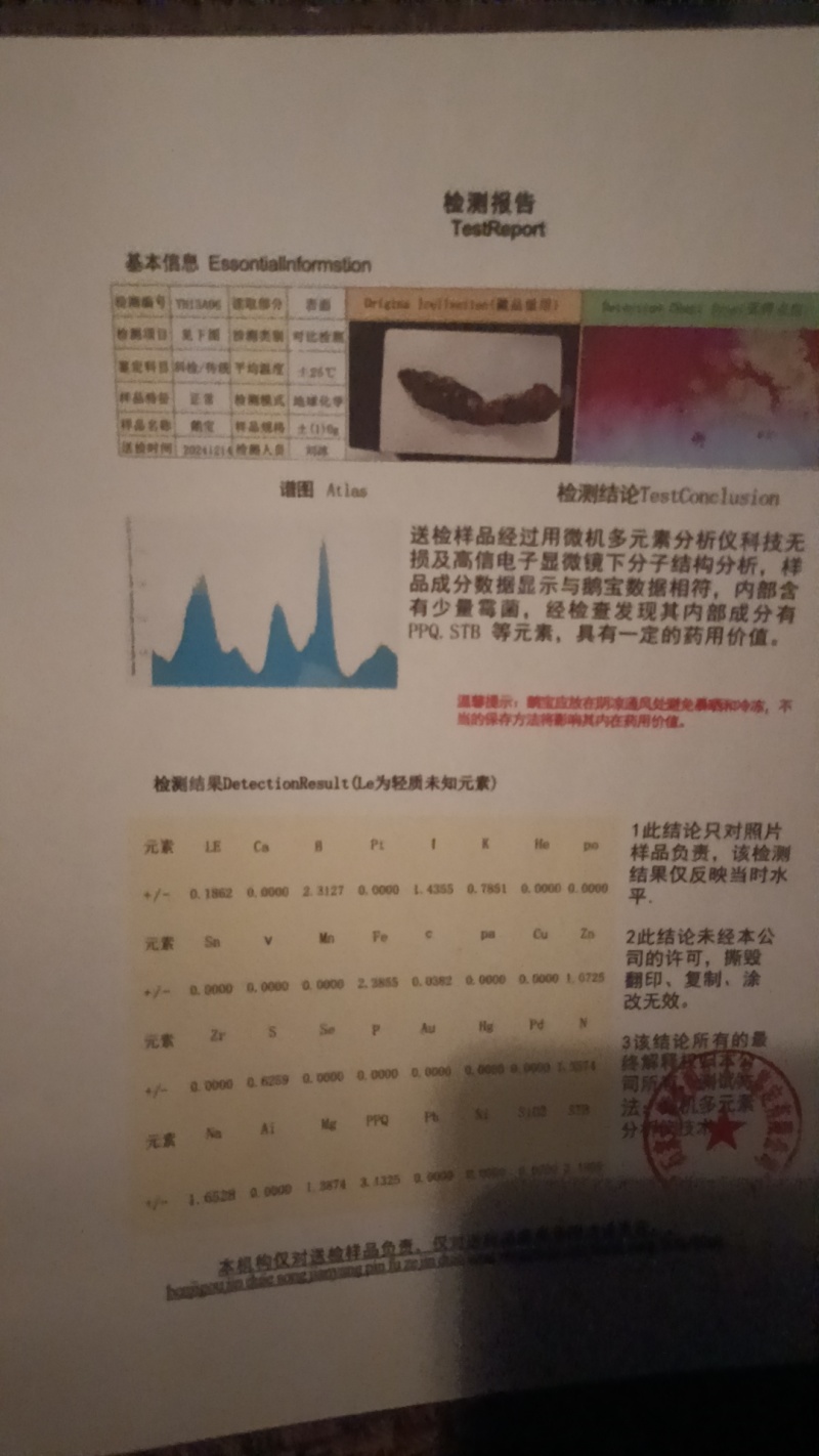 鹅宝