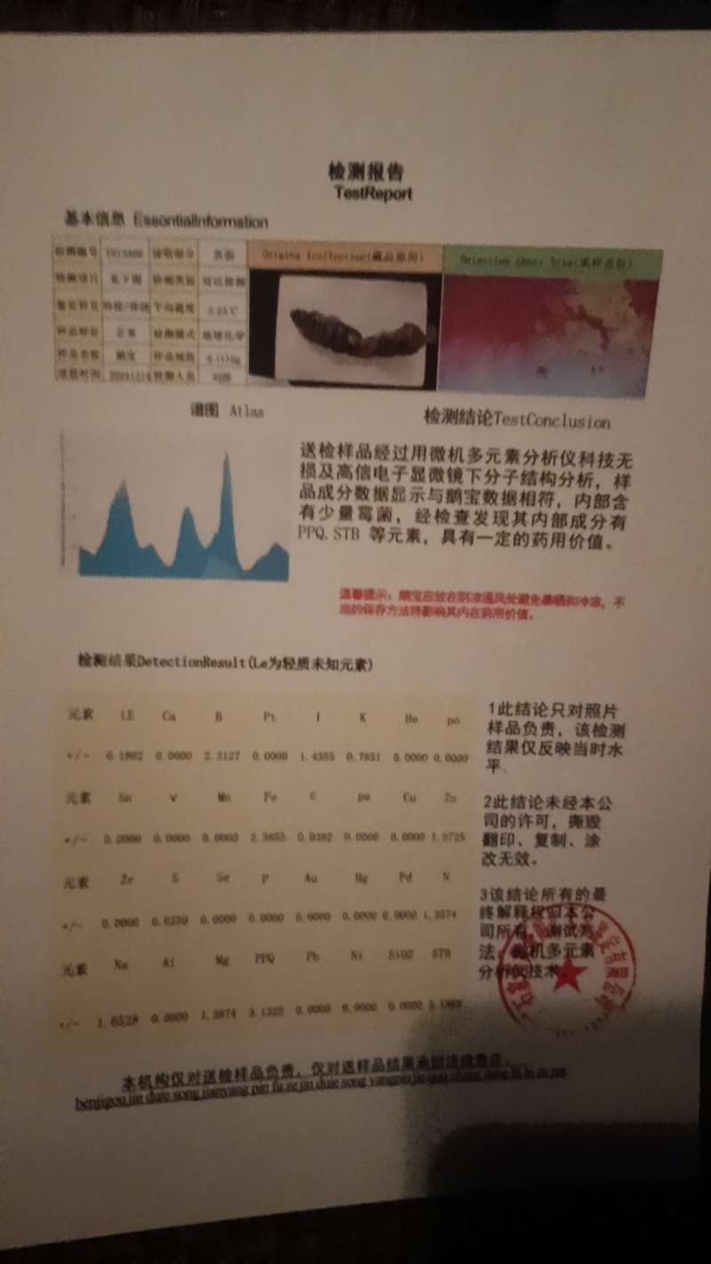 鹅宝