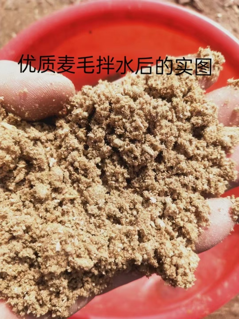 次麸皮