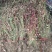 小叶扶芳藤地苗长度80cm一1m，基地有量，欢迎来订购。