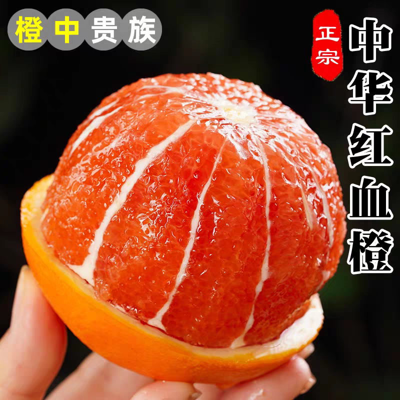 秭归红心脐橙/产地批发/联系物流司机货发全国