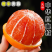 【中华红橙】湖南甜橙/血橙/产地批发/全国整车代发