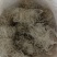 攸县红薯粉丝粉皮