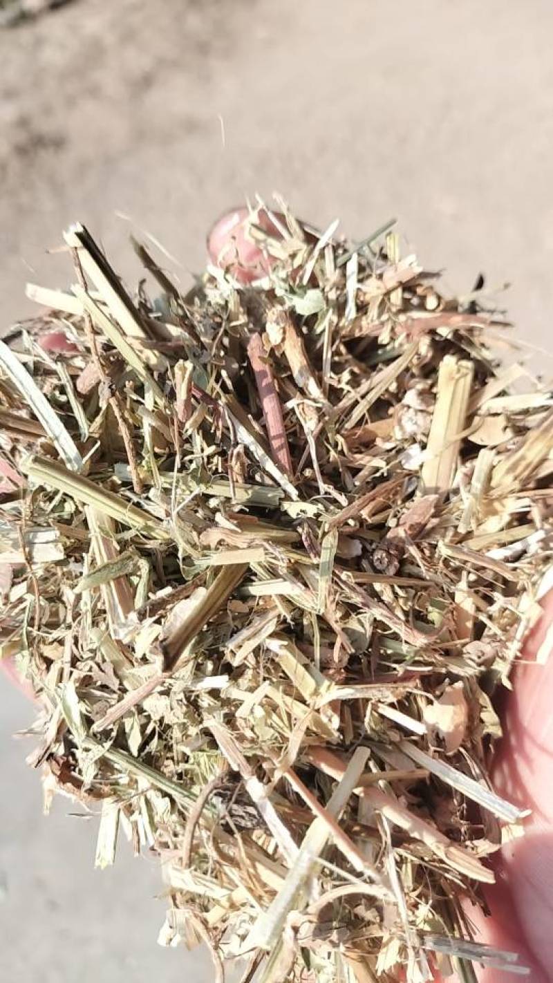 通货一般货