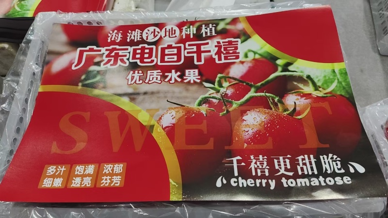 广东圣女果大量上市货源充足批发电商价格实惠