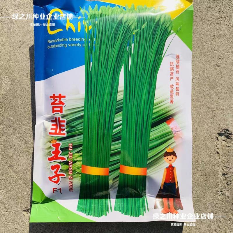 苔韭王子韭菜种子生长迅速耐寒抗病产量高叶苔兼用型苔韭种子