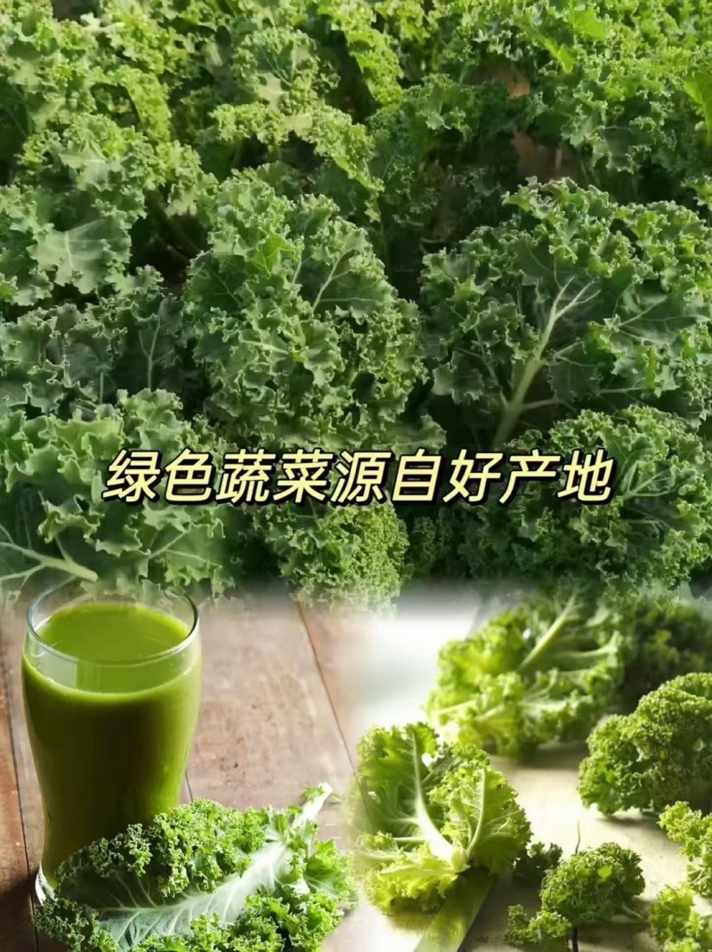 羽衣甘蓝