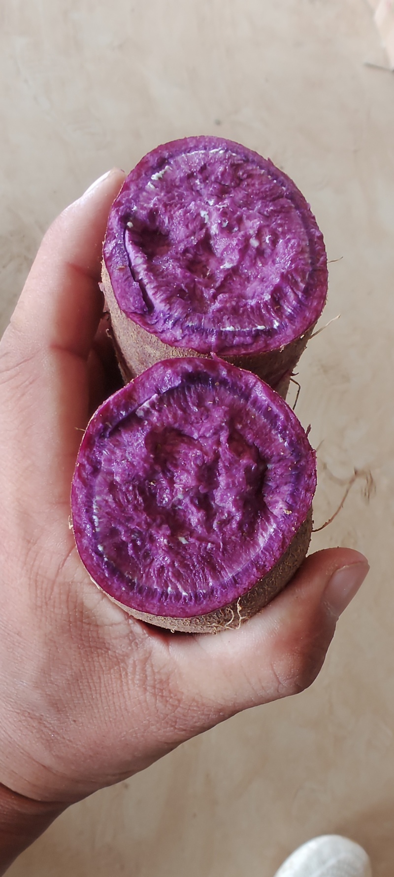 花叶二代贵妃紫，纯丘陵沙土地，口感香甜软糯