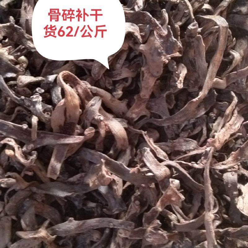 【骨碎补】自有基地，物美价廉，中药材，常年诚信合作