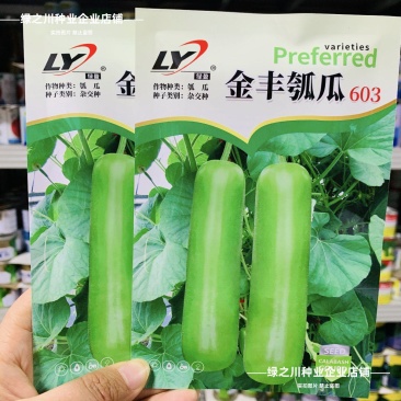 山东金丰瓠瓜种子短棒杂交瓠子四季高产早熟油亮蒲瓜种子