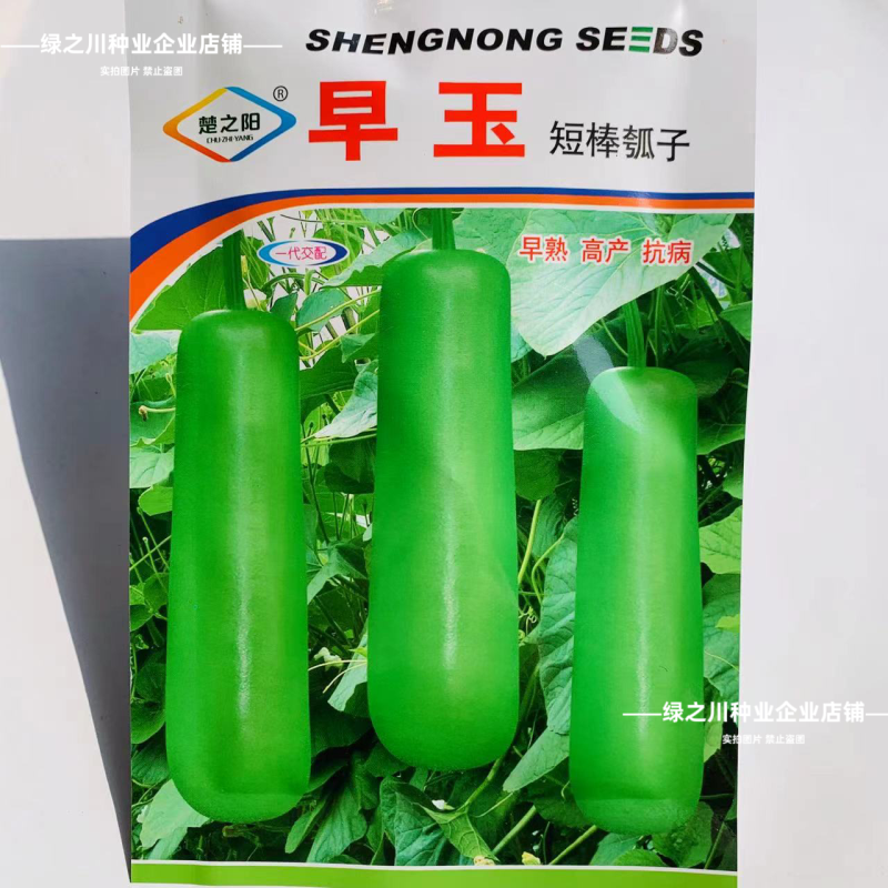 山东金丰瓠瓜种子短棒杂交瓠子四季高产早熟油亮蒲瓜种子