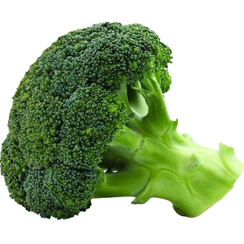 绿翡翠西兰花西南花产地一手货源支持打款发货
