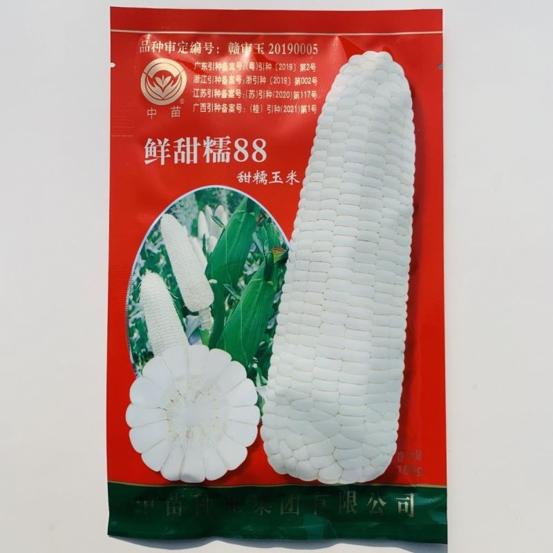 中苗鲜甜糯88玉米种子春秋白色大田糯玉米大棒鲜食糯玉米种