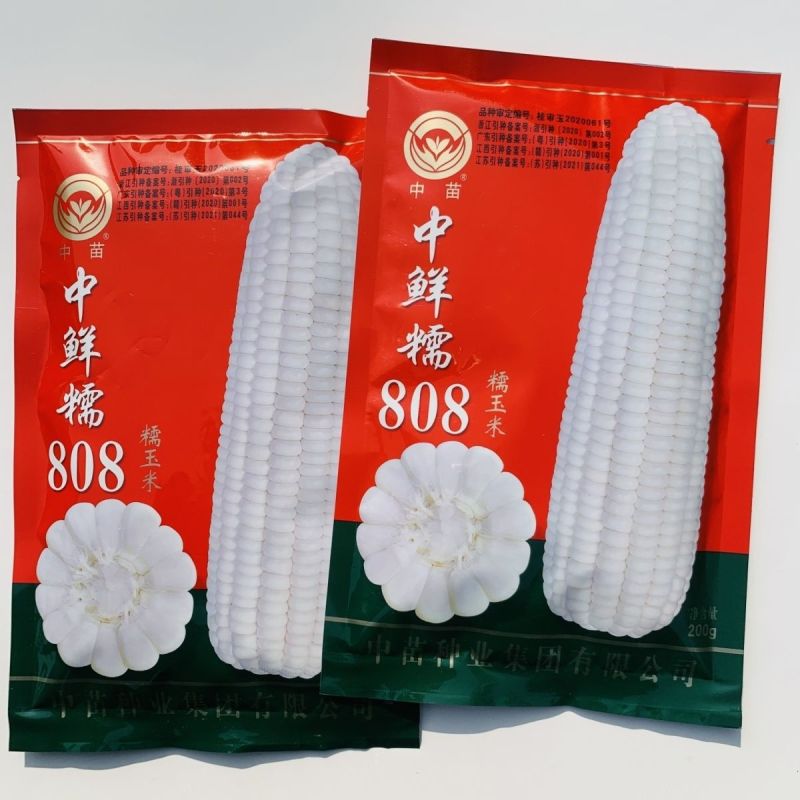 中苗白糯玉米种子中鲜糯808玉米种籽大棒大田高产春秋抗病